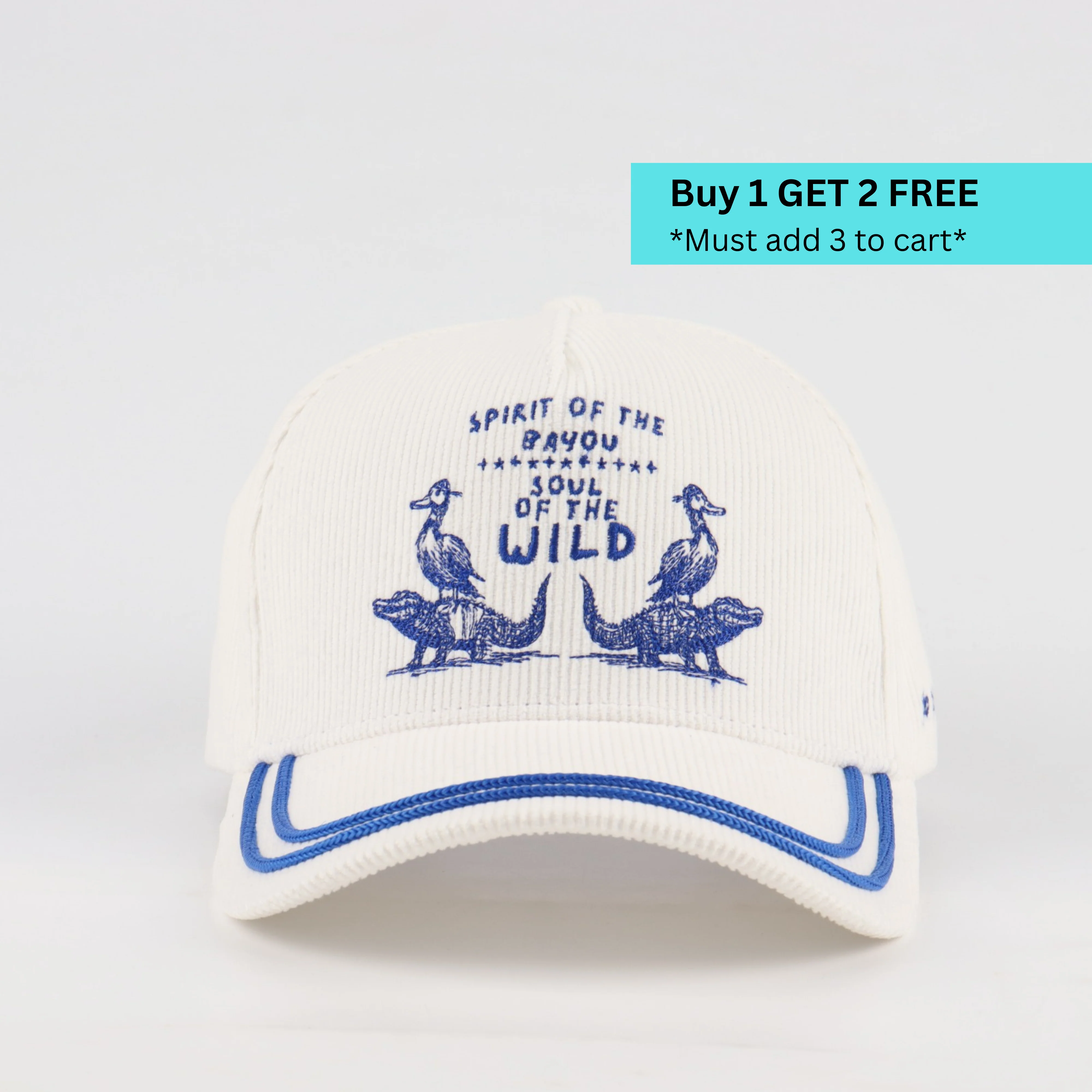 Wild Spirit Hat